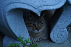 一休み