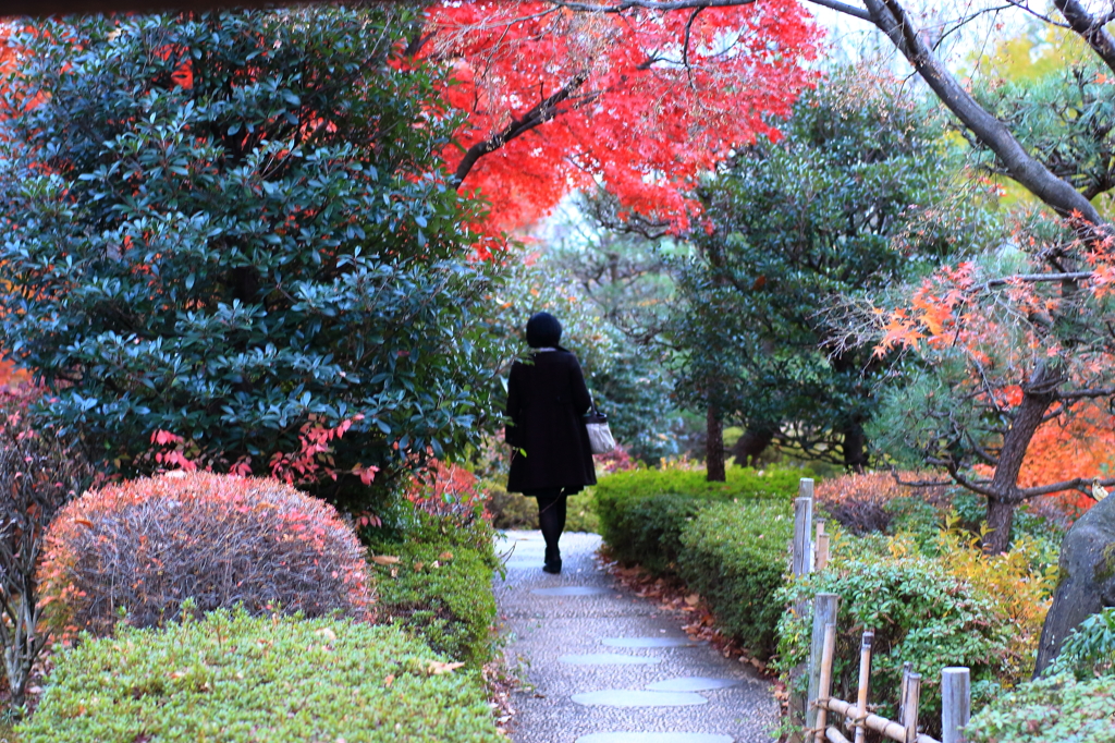 紅葉