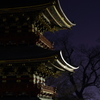 闇光
