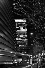 夜景