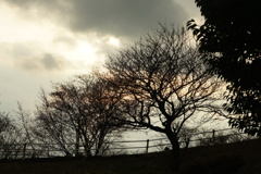 DSC00562