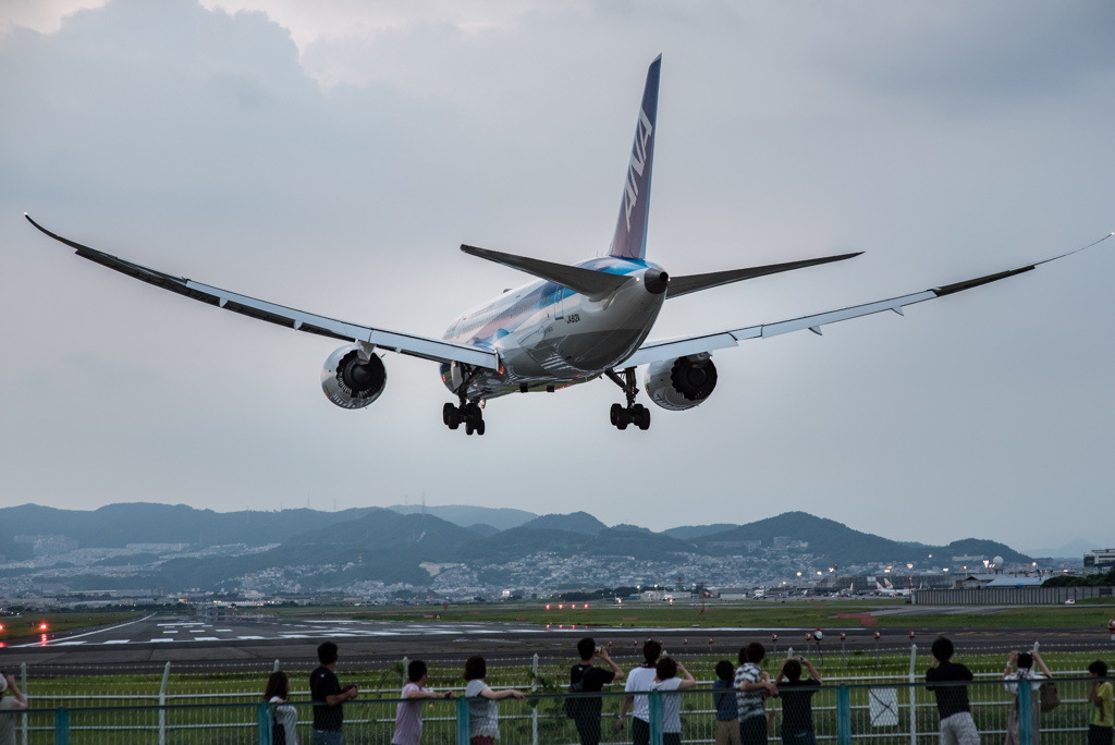 夕暮れのひと時　「Boeing 787-8 Dreamliner」