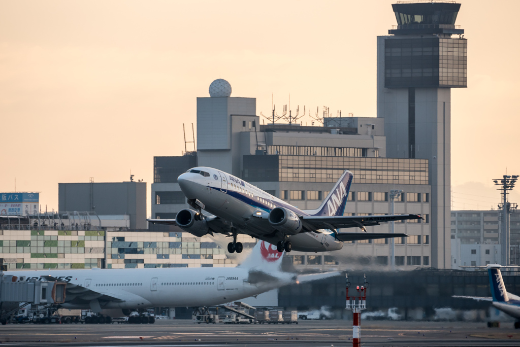 夜明けとドルフィン　「Boeing 737-500　JA305K」