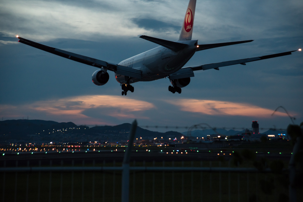 夕方の到着便
