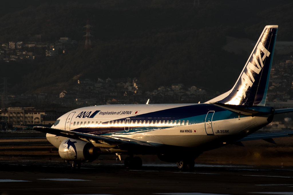 夕暮れドルフィン