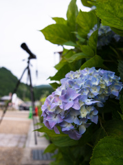 撮影の合間に