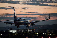 いつもの夕暮れ　Boeing 737-800