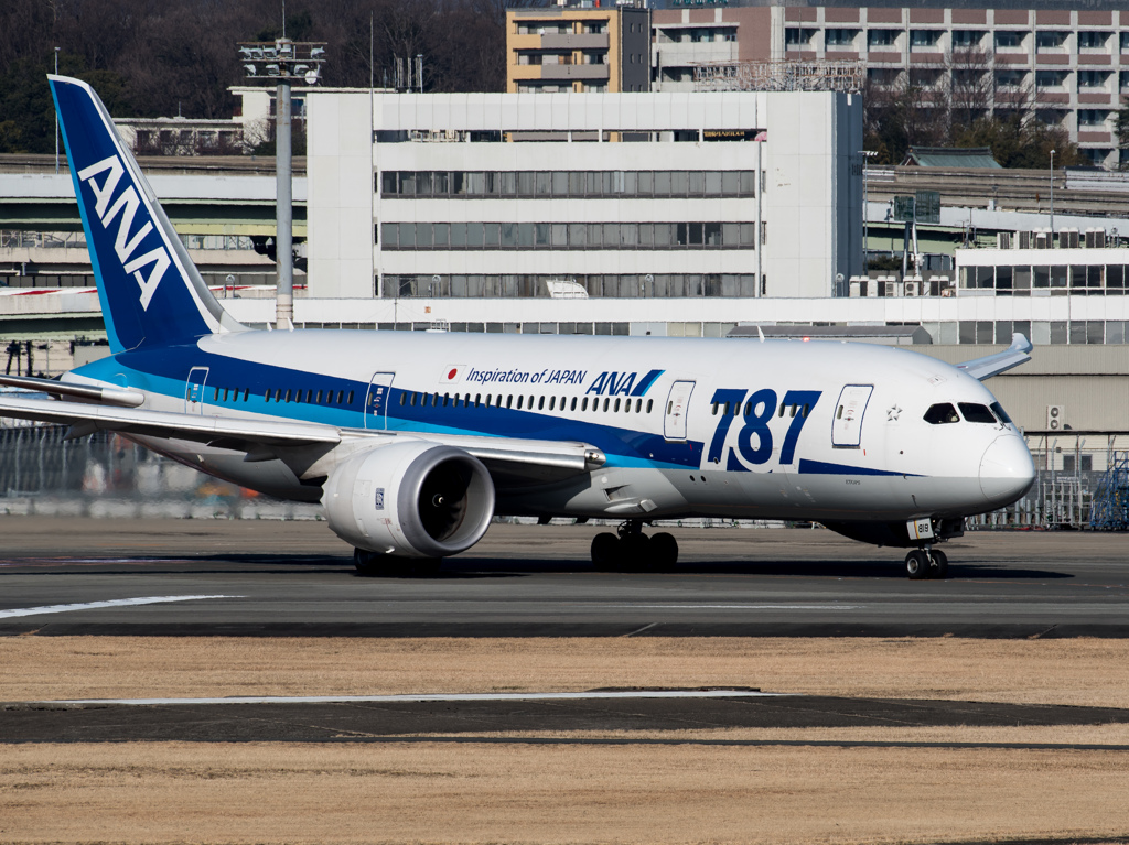 お目当て登場！B787