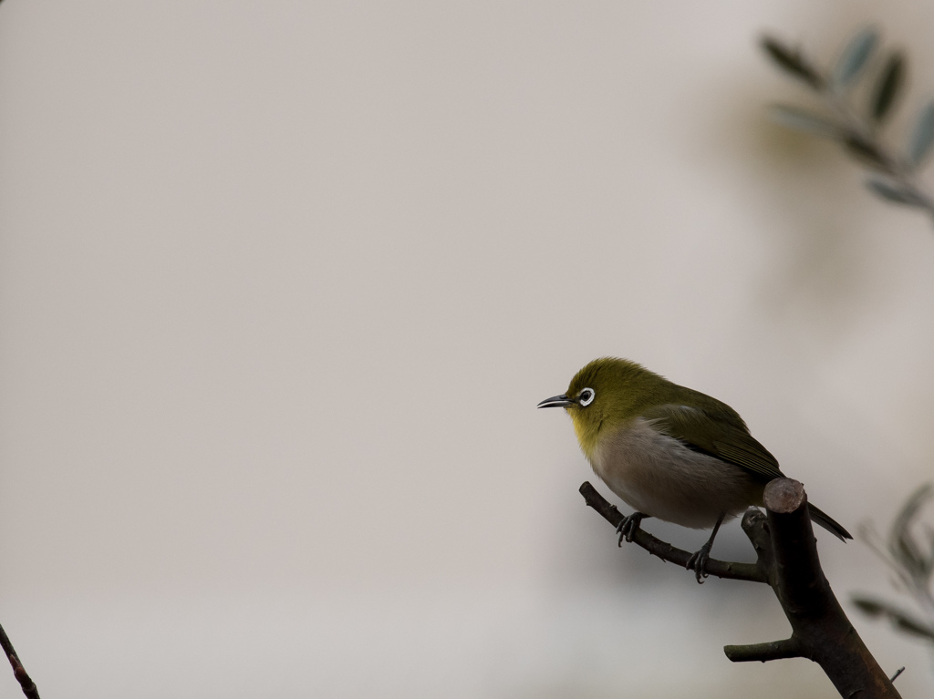 春はまだか