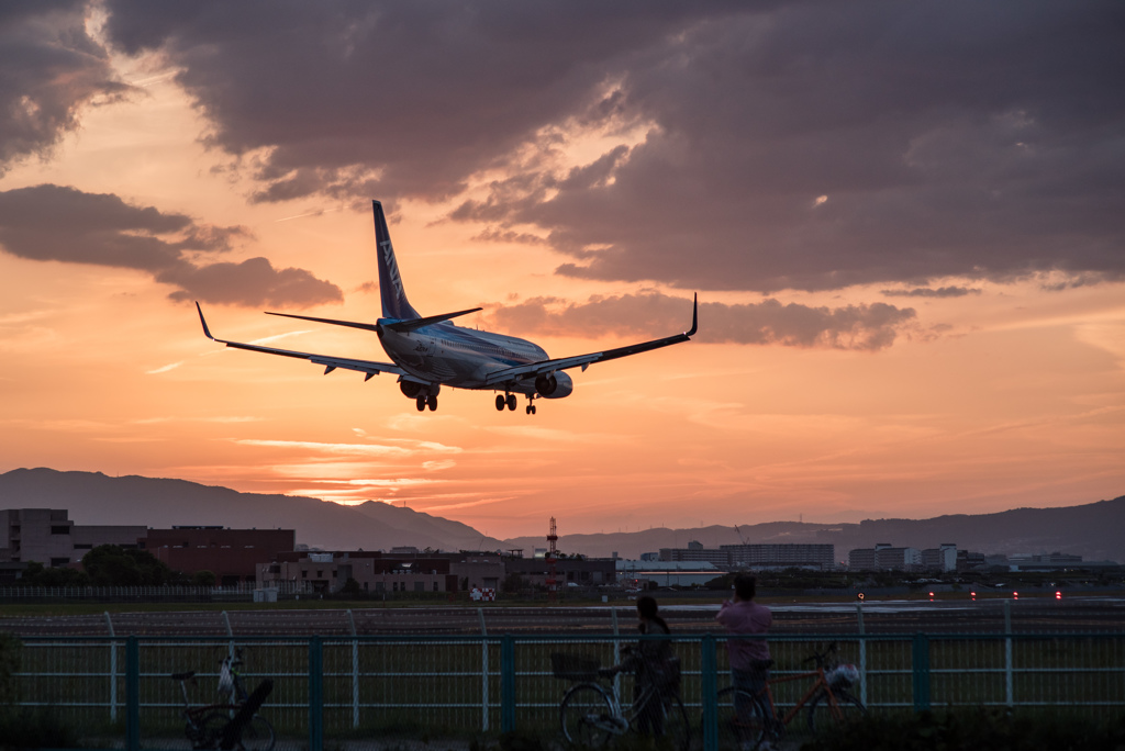 夕暮れ時　　「Boeing 737-800」