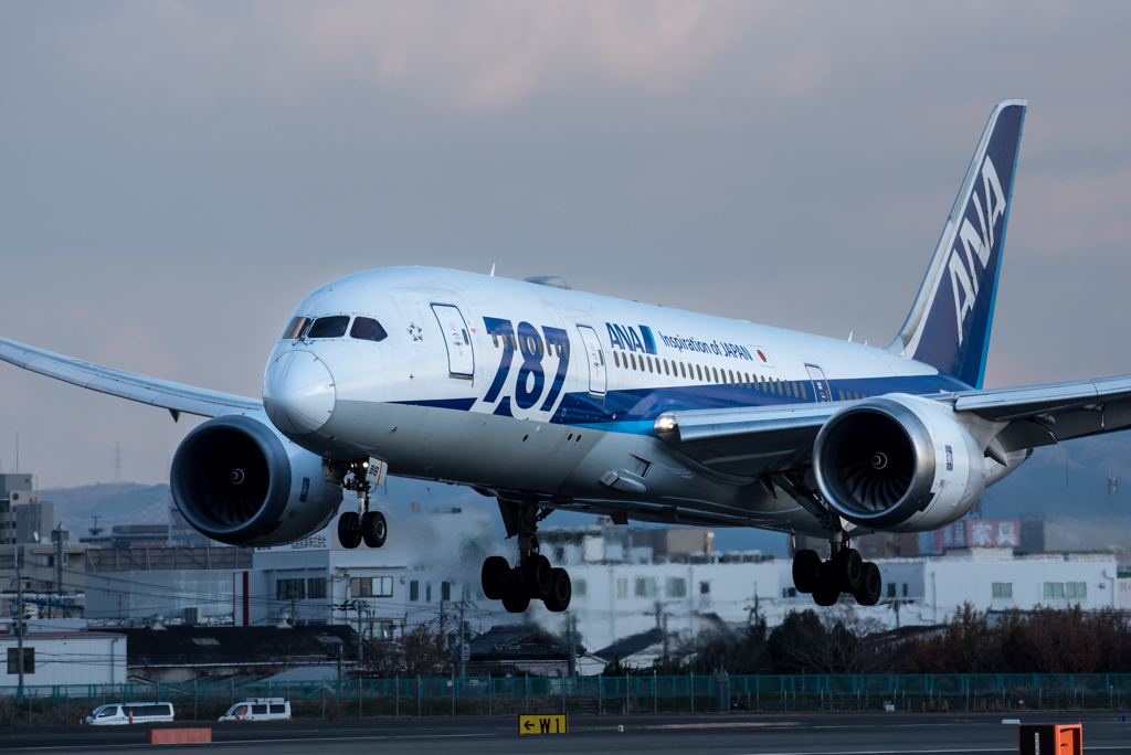 穏やかな午後　「Boeing 787 Dreamliner」