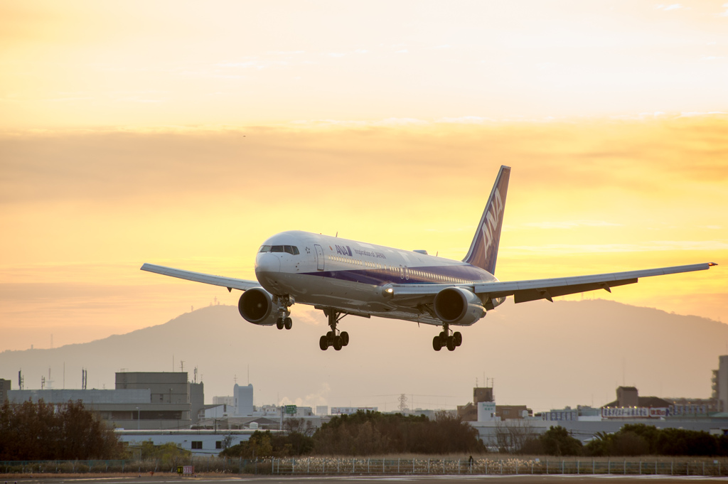 朝の到着便　Boeing 767-300　JA615A