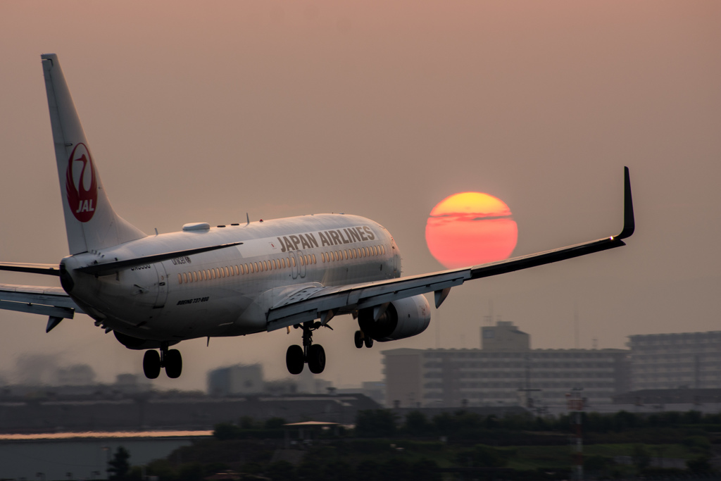 焼けない夕焼け。。　　「Boeing 737-800」