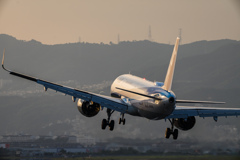 猛暑日の到着便　「Airbus A321-200」