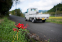 秋の田舎道