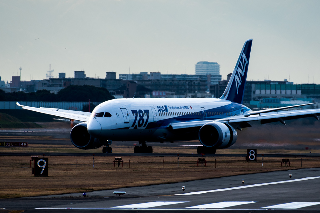 787をカッコよく^^2