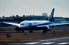 787をカッコよく^^2