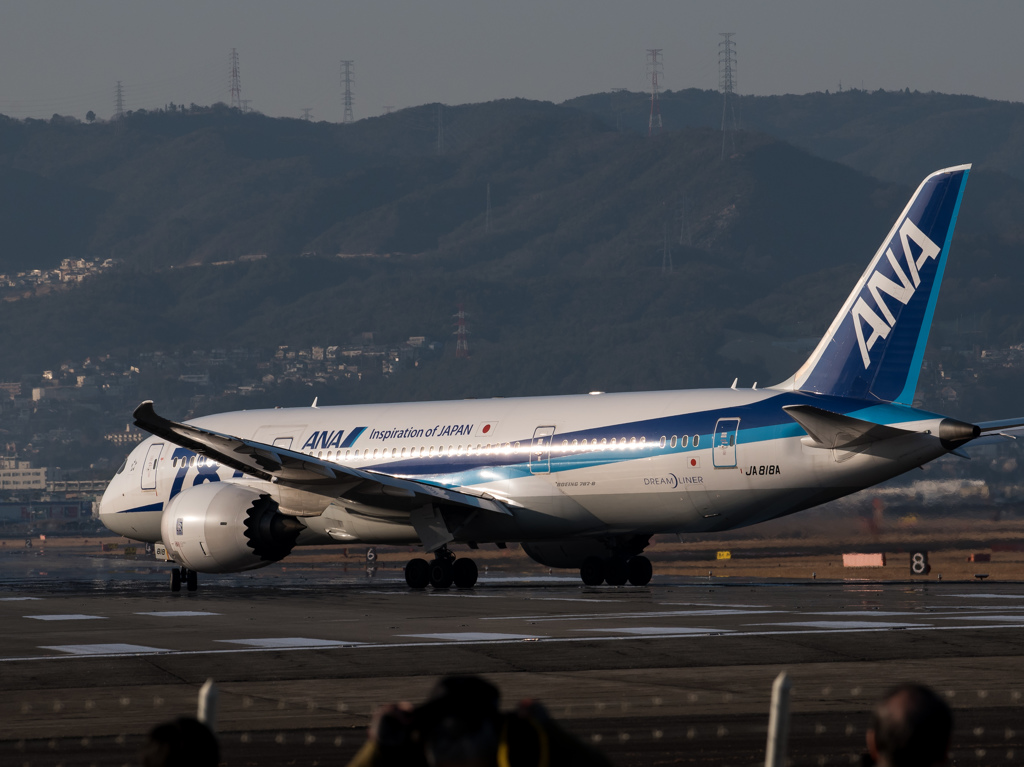 人気者！787