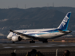 人気者！787