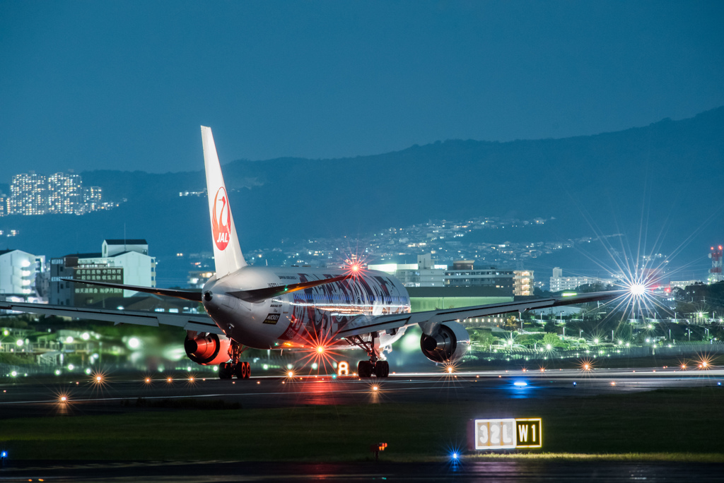 "Mickey Mouse Jet"   「Boeing767-300」