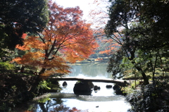 六義園_渡月橋