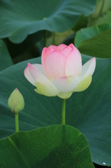 霞ヶ浦総合公園
