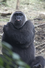 背中が痒いんだけど〜