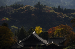 長谷寺　遠景