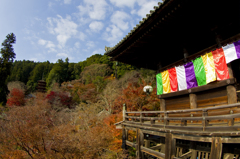 長谷寺本堂から五重塔遠景