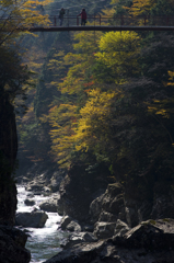 みたらい渓谷DEハイチーズ！