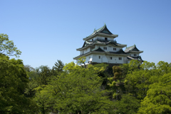 天守閣　緑