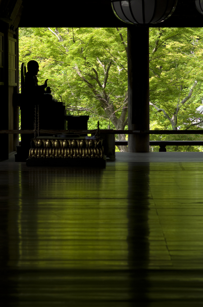 新緑　長谷寺