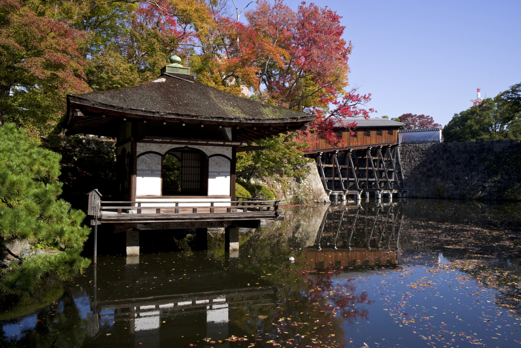 紅葉渓の紅葉