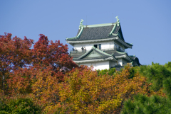 和歌山城の紅葉#1