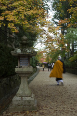 高野山　蛇腹道を行く#2