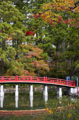 高野山の紅葉#2