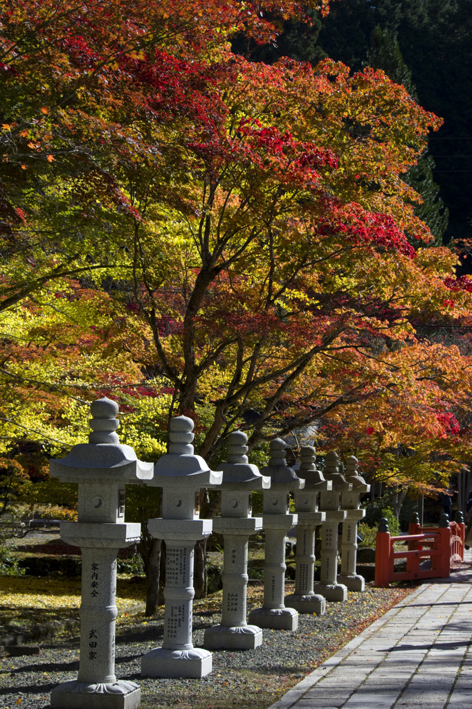 高野山　へいわばし付近の紅葉