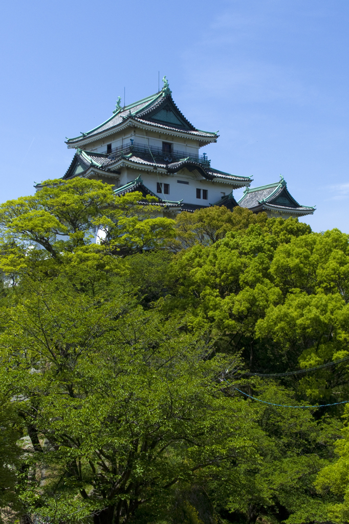 新緑の和歌山城#2
