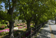 GreeN!!!　三年坂