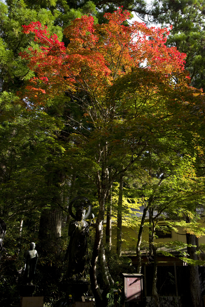 高野山　水向地蔵と紅葉