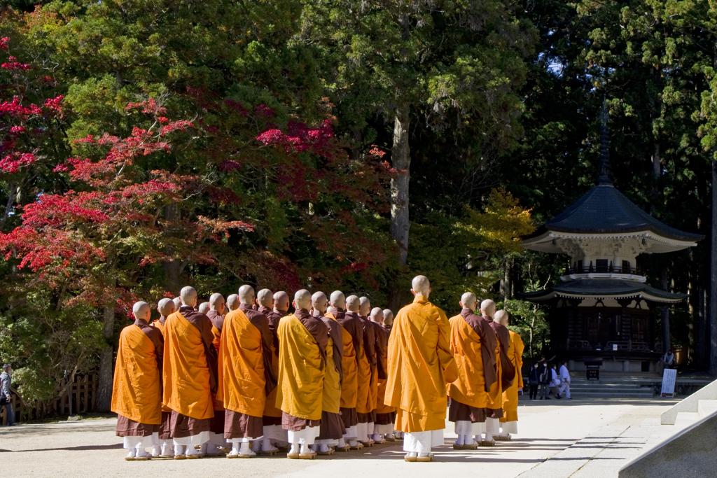 高野山　金堂前の紅葉