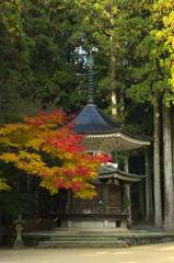 高野山の紅葉#2