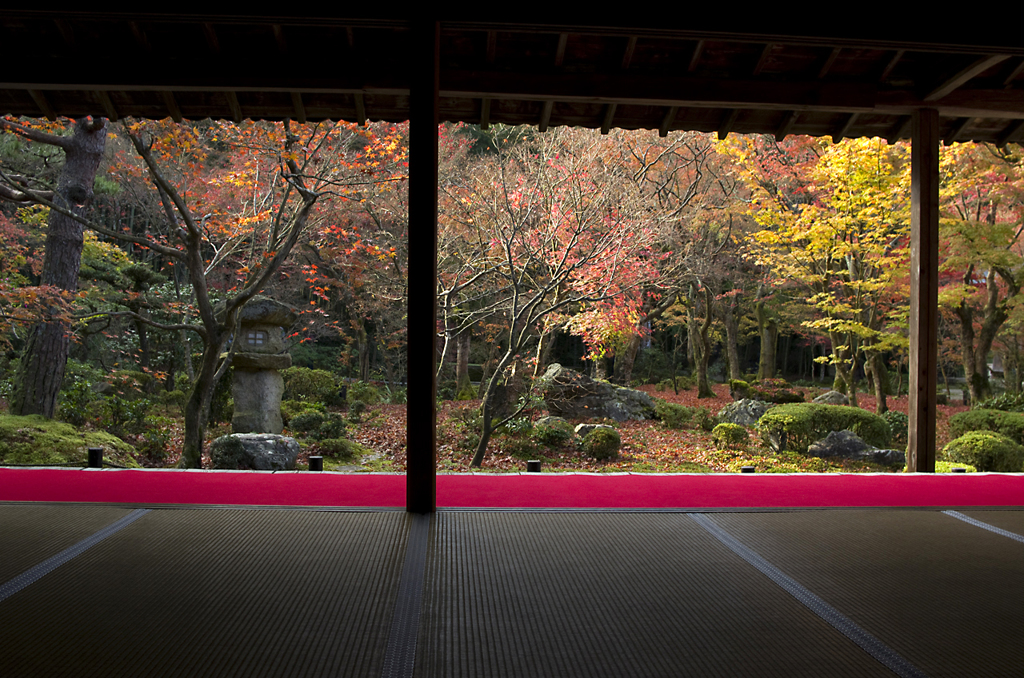 圓光寺