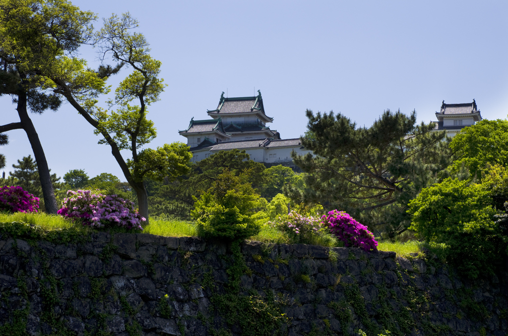 新緑の和歌山城　其の一