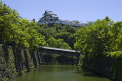 新緑の和歌山城