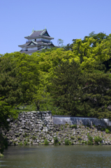 新緑の和歌山城　其の二