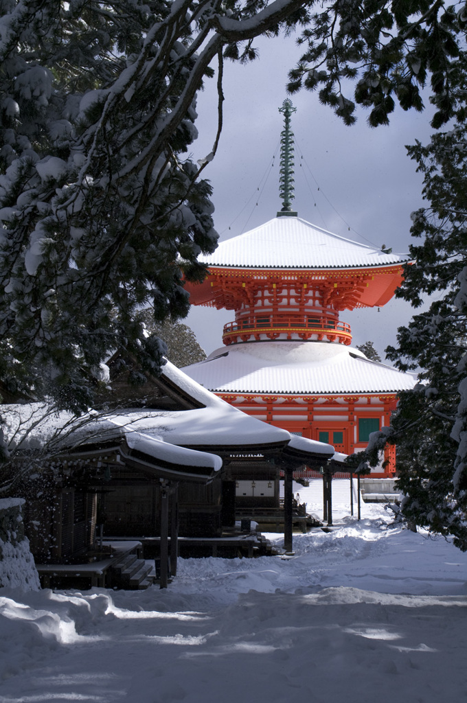 壇上伽藍　雪の根本大塔