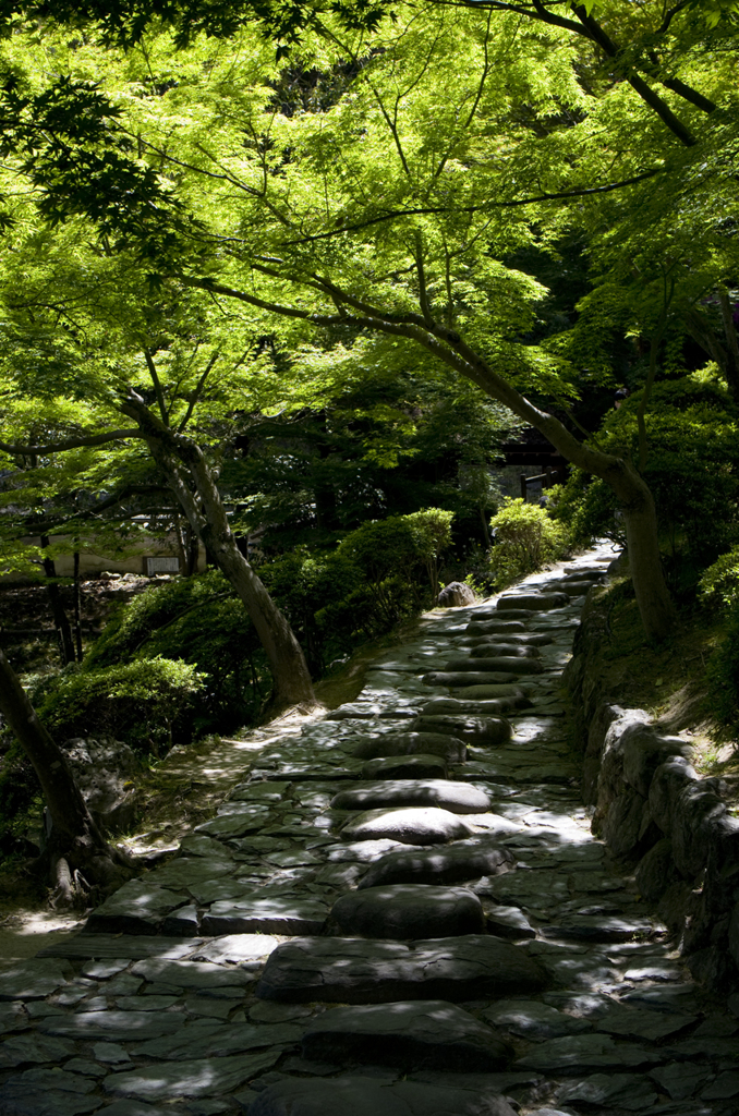 紅葉渓GreeN!