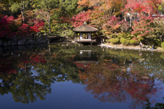 紅葉渓