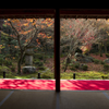 圓光寺#5